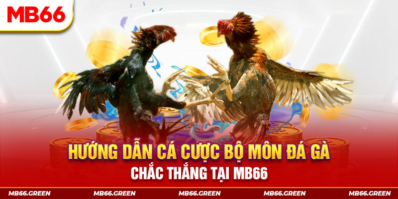 s689 casino ĐĂNG NHẬP